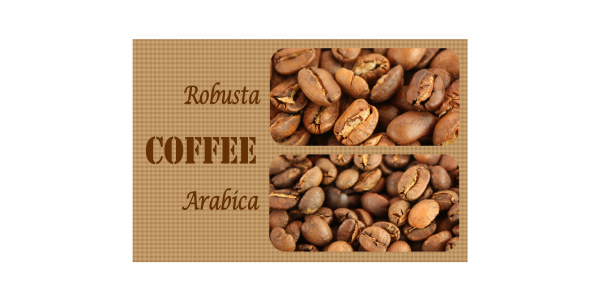 Różnice między kawą Arabica i Robusta