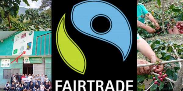 Kawa fair trade - sprawiedliwy smak dla każdego miłośnika kofeiny