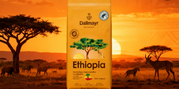 Kawa z Etiopii – kolebka smaku i aromatu