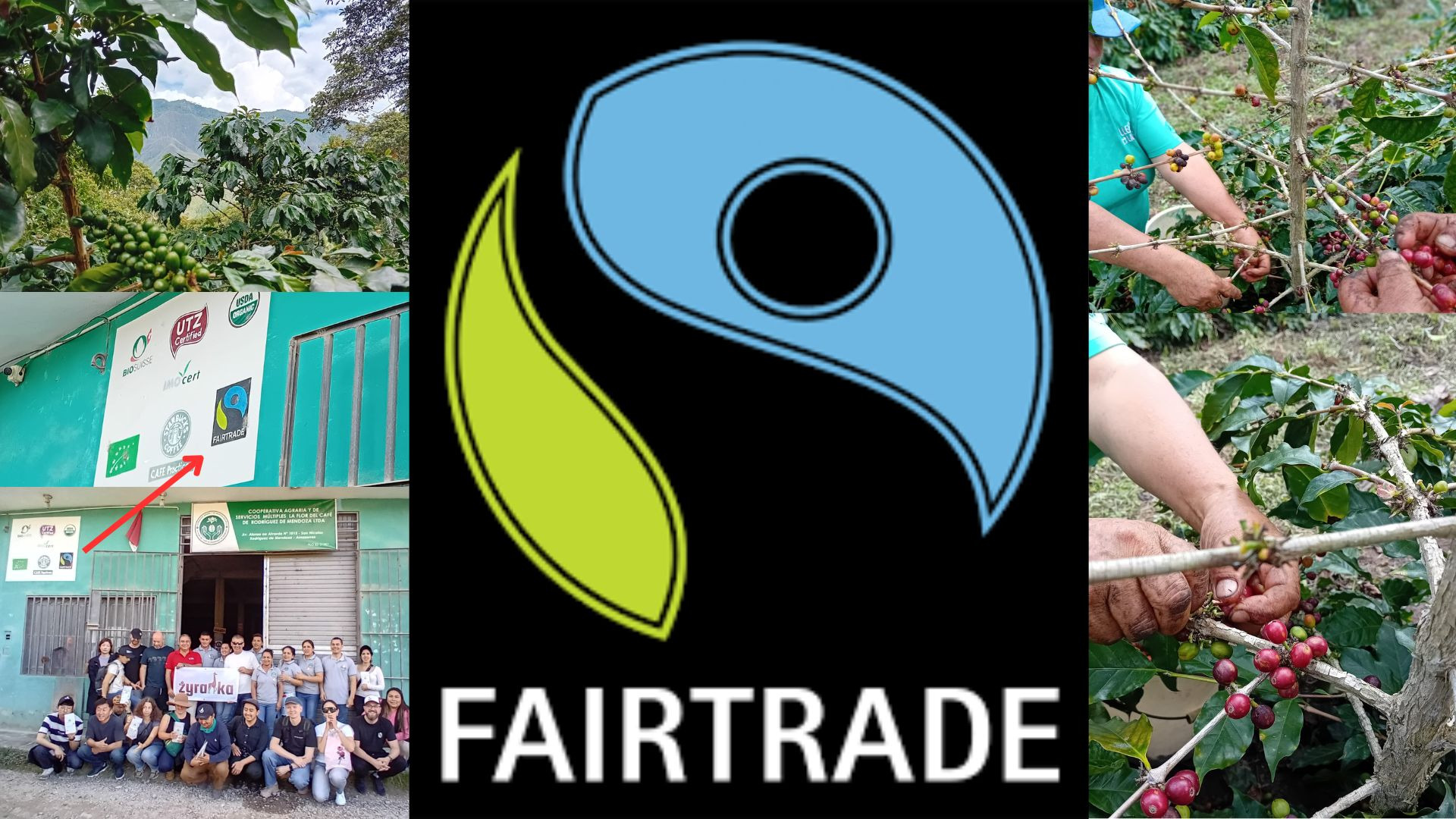Kawa fair trade - sprawiedliwy smak dla każdego miłośnika kofeiny