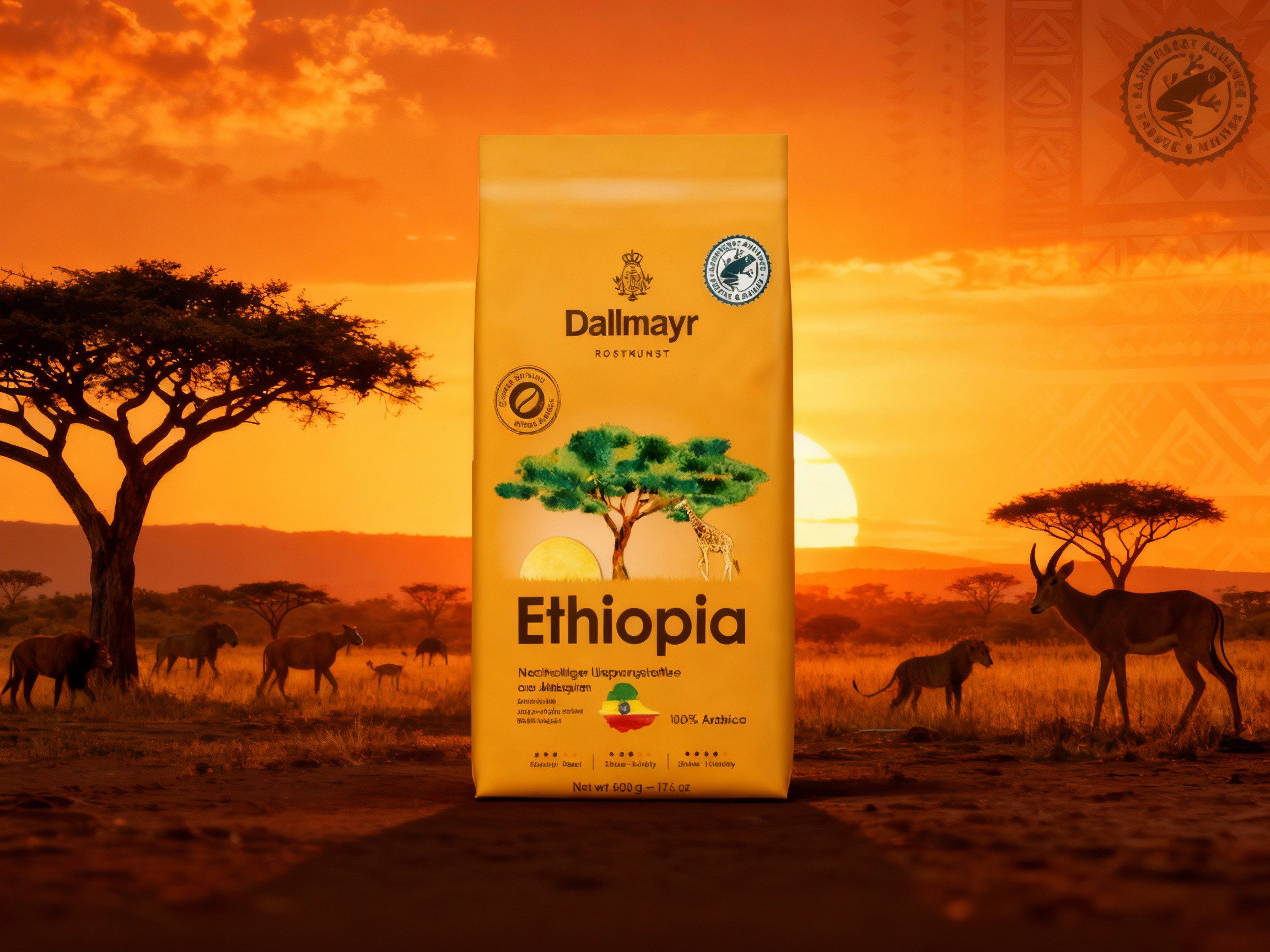 Kawa z Etiopii – kolebka smaku i aromatu